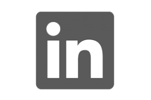 Linkedin Linkedin logo gris png lyon